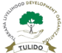 logo1